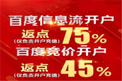 百度竞价数据分析：实战案例与优化策略